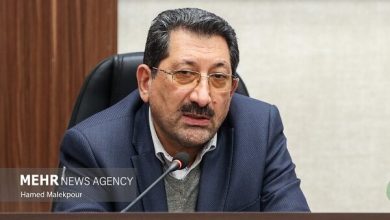تعیین قیمت جدید خودرو با نظر شورای رقابت و سازمان حمایت