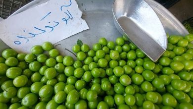 قیمت های نجومی میوه های نوبرانه ؛ گوجه سبز کیلویی ۲۰۰۰۰۰۰ تومان!