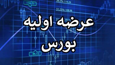 چند عرضه اولیه در بازار سرمایه انجام شد؟