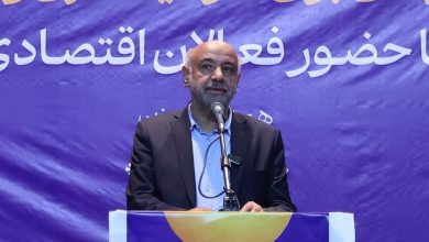 شناسایی ۸۰۰ پروژه سرمایه‌گذاری در حوزه مهارت آموزی