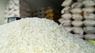 سنت‌شکنی در بازار برنج | بازار برنج تنظیم می شود؟